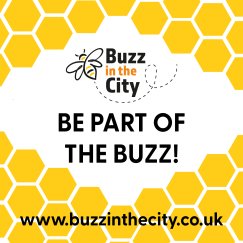 Buzz in the City
